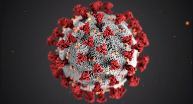 Coronavirus en Afrique - Pays les plus touchés