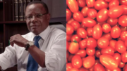 Maurice Kamto - La filière Tomate au Cameroun