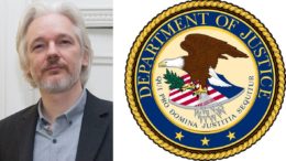 Julian Assange - États-Unis